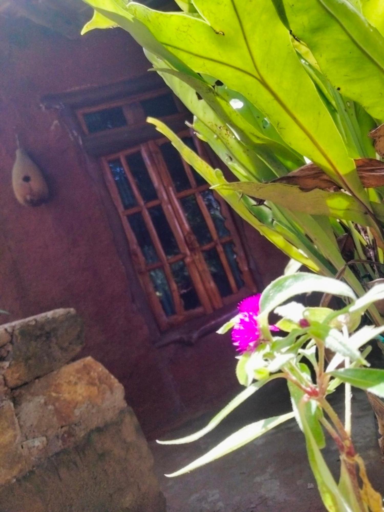 Ella Bay Homestay Exterior photo